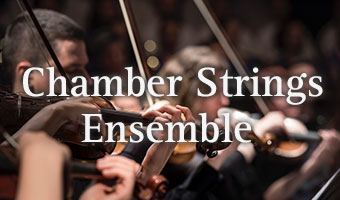 Chamber Strings Ensemble